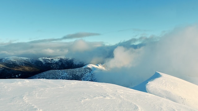 Victorian Snow Fields