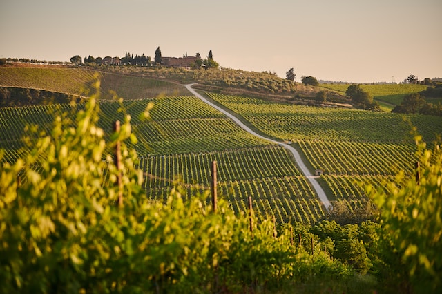 Yarra Valley